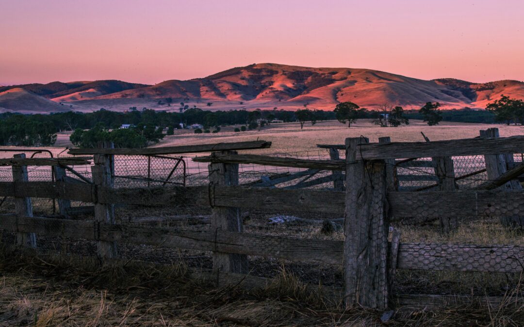 August Update | Biodiversity Protection, Water Scarcity, and Supply Chain Carbon Tracking