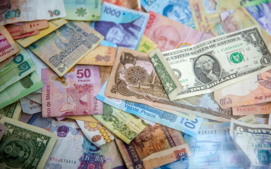 Navigating Bank Financing and Sustainability Requirements