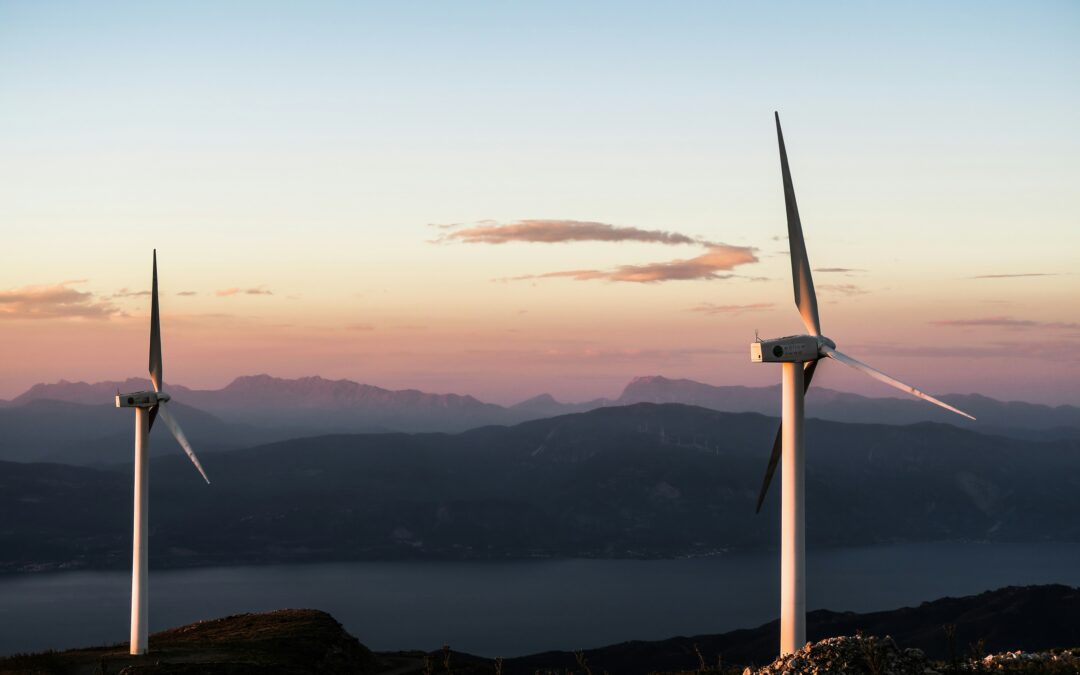 April Update | Carbon Border Taxes, Renewable Energy Adoption, and ESG Litigation Risks
