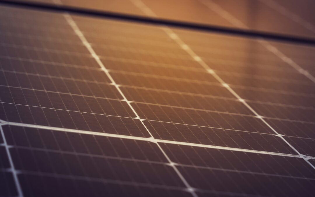 April Update | Mandatory Nature-Related Disclosures, Rising ESG Litigation, and Clean Energy Investment Surge