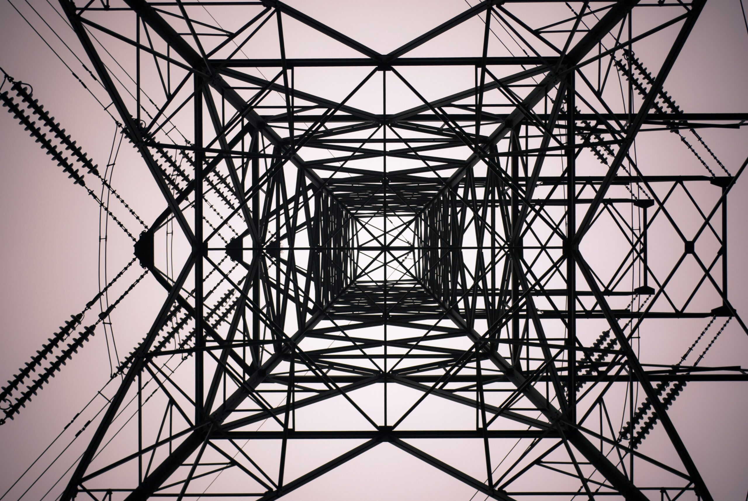 Shane Rounce 1zz96uesrjq Unsplash