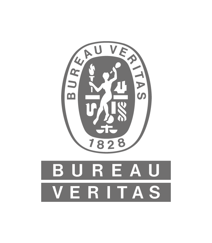700px Logo Bv Rgb Gray (transparent Backgroung)