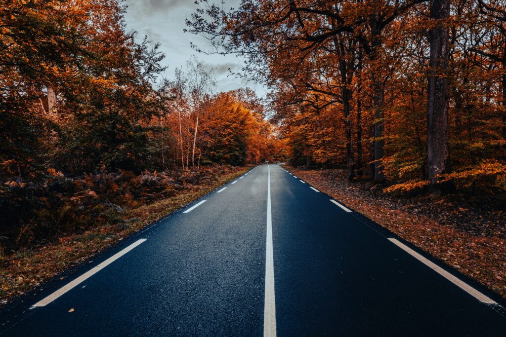 Fabien Bellanger Ytnxzagcoww Unsplash