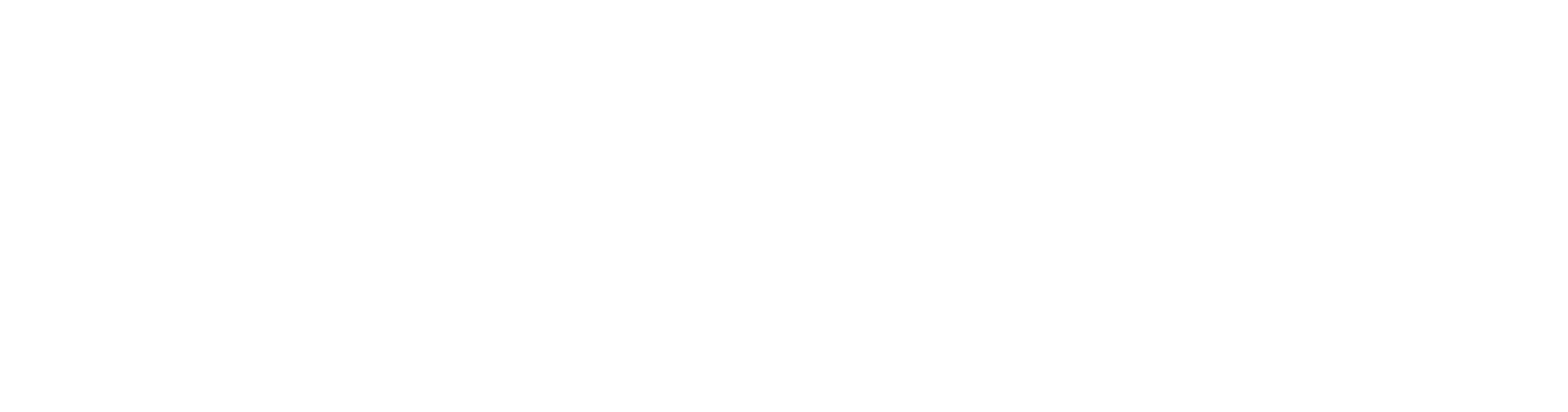 Bot White Logo Bot White Logo